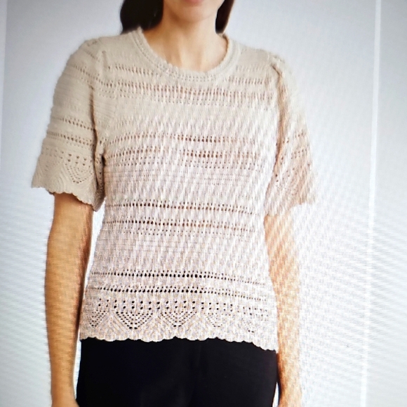 NWT Design History Short Sleeve Bobble Stitch Pullover Dove Medium - Picture 1 of 12